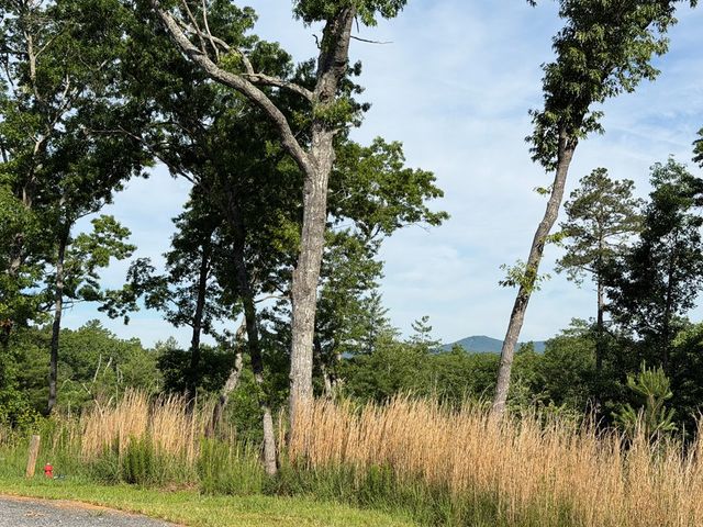 LT 304 Greenwood Court, Ellijay, GA 30540