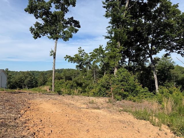 LT 304 Greenwood Court, Ellijay, GA 30540