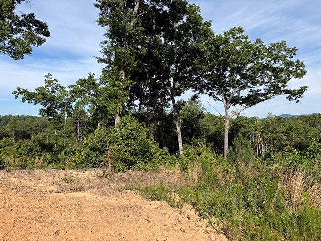 LT 304 Greenwood Court, Ellijay, GA 30540