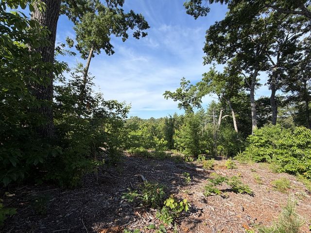 LT 304 Greenwood Court, Ellijay, GA 30540