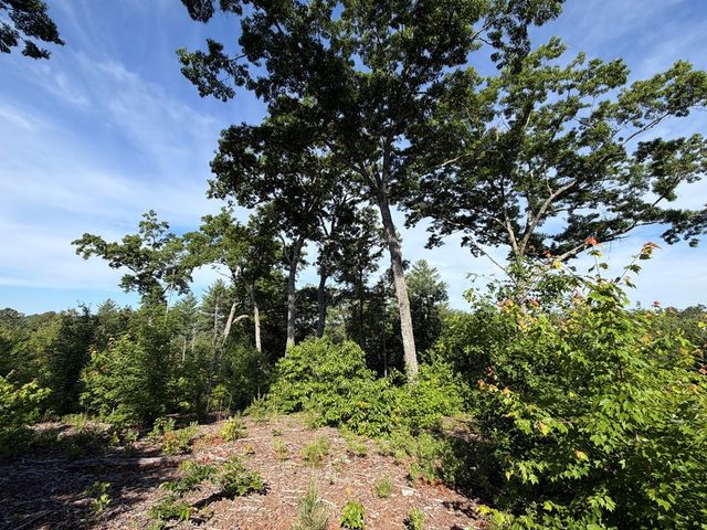 LT 304 Greenwood Court, Ellijay, GA 30540