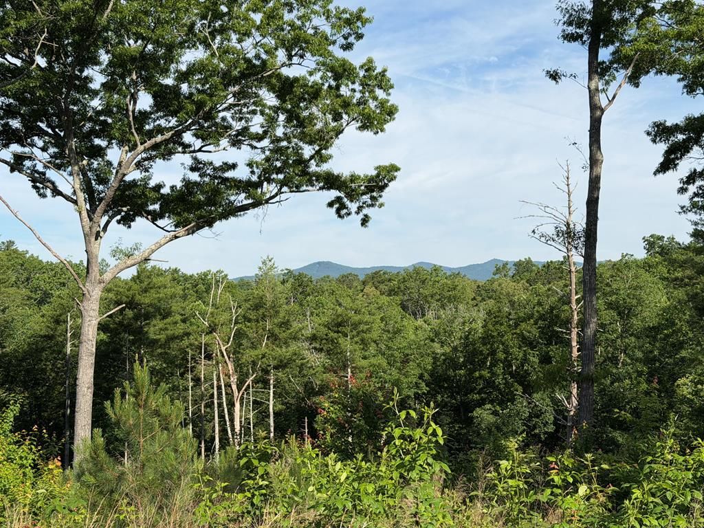 LT 304 Greenwood Court, Ellijay, GA 30540