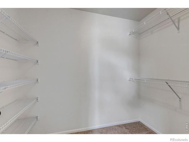 945 Maplebrook Drive, Windsor, CO 80550