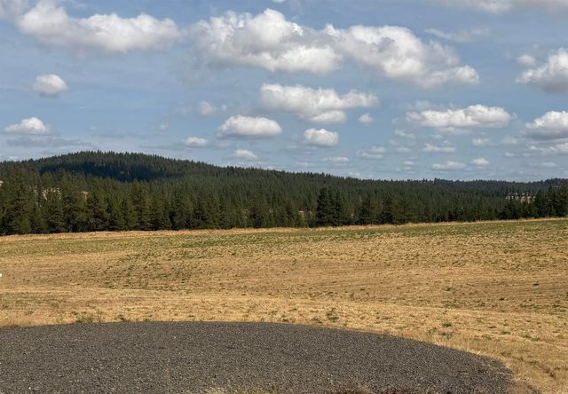 XXXX Rocky Top Way, Deer Park, WA 99006