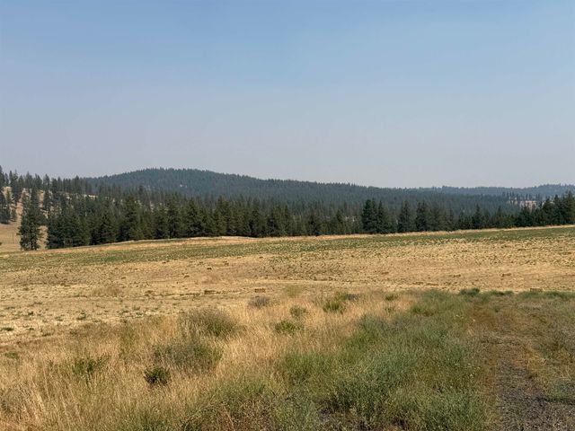 XXXX Rocky Top Way, Deer Park, WA 99006