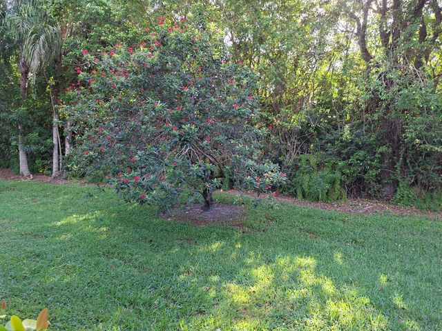10032 Andrea Lane, Boynton Beach, FL 33437