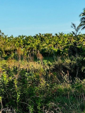 7465, 7448, 7421 Max DR, Bokeelia, FL 33922