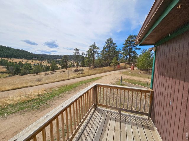 291 Palisade Mountain Dr, Drake, CO 80515