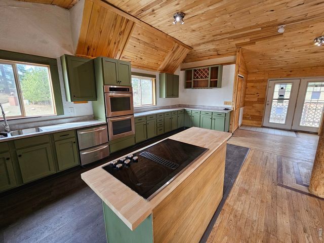 291 Palisade Mountain Dr, Drake, CO 80515