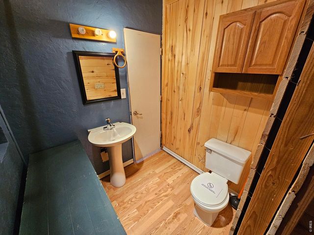 291 Palisade Mountain Dr, Drake, CO 80515