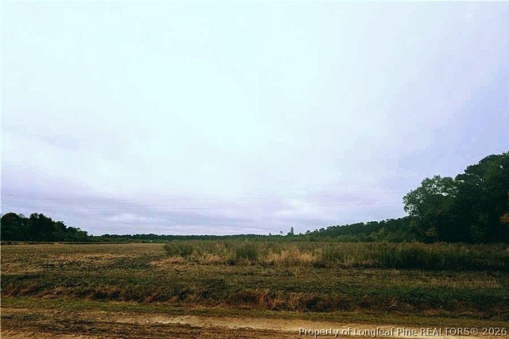 0 Triple B Lane, Autryville, NC 28318 — exterior
