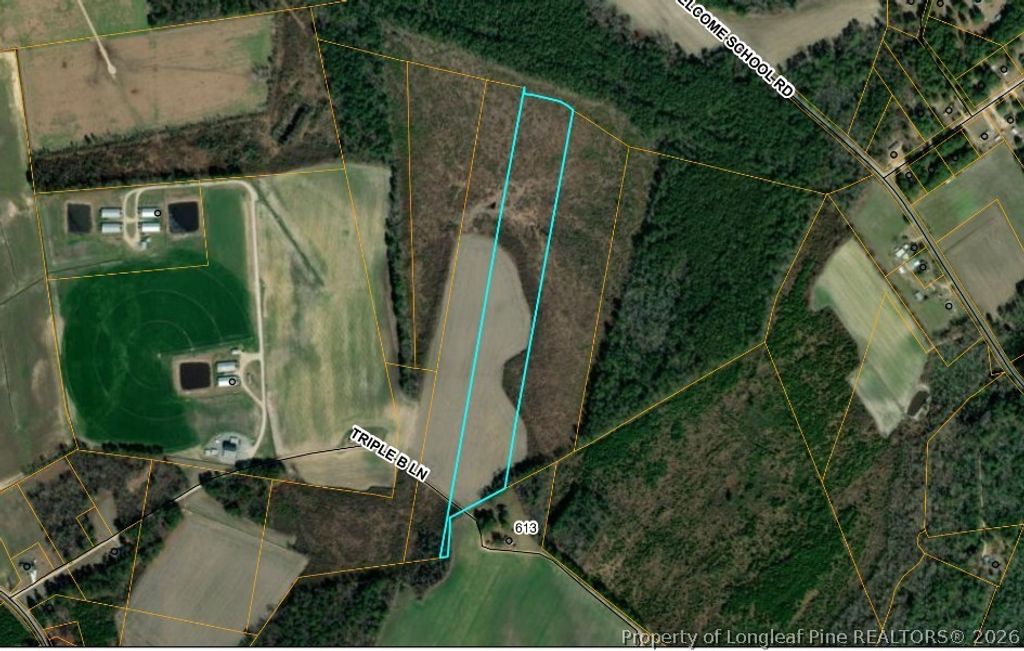 0 Triple B Lane, Autryville, NC 28318 — photo 2