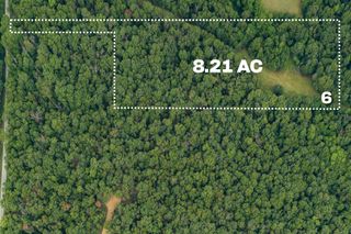 Lot 6 Mink Drive (8.21 Ac), Neosho, MO 64850