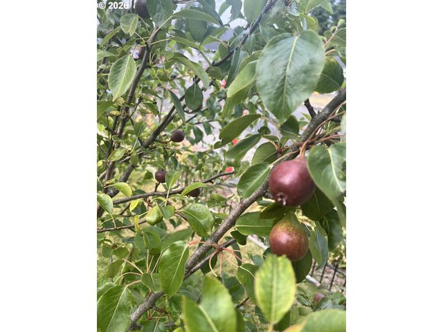 2478 MARION St, North Bend, OR 97459