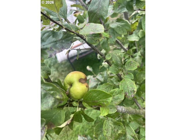 2478 MARION St, North Bend, OR 97459