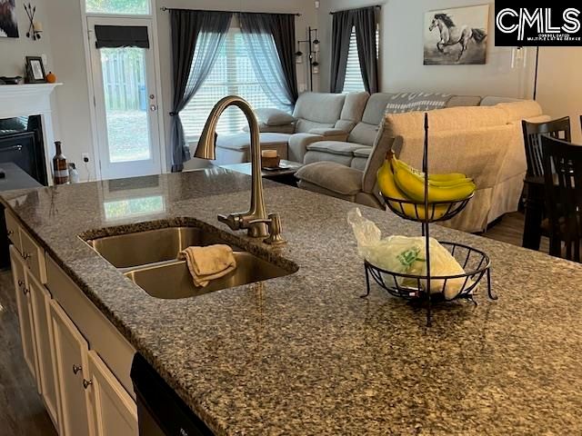 228 Bickley View Court, Chapin, SC 29036