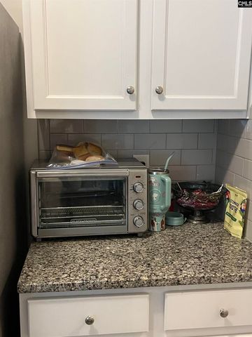 228 Bickley View Court, Chapin, SC 29036