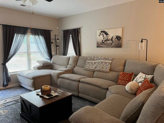 228 Bickley View Court, Chapin, SC 29036