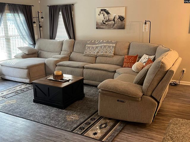 228 Bickley View Court, Chapin, SC 29036