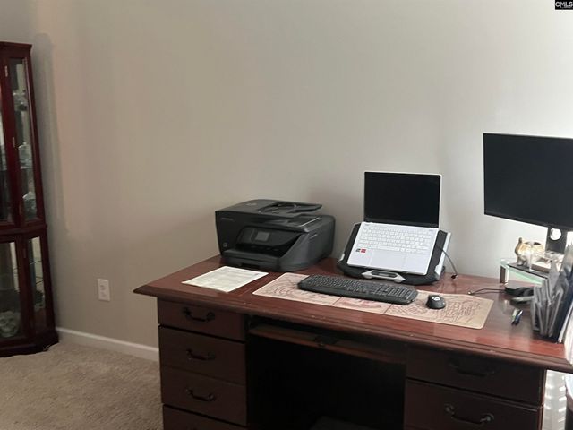 228 Bickley View Court, Chapin, SC 29036