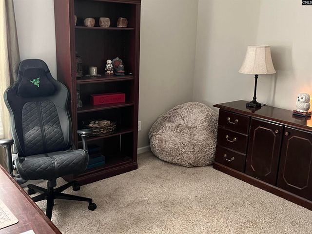 228 Bickley View Court, Chapin, SC 29036