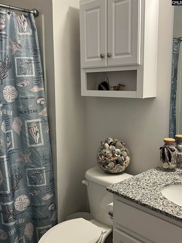 228 Bickley View Court, Chapin, SC 29036