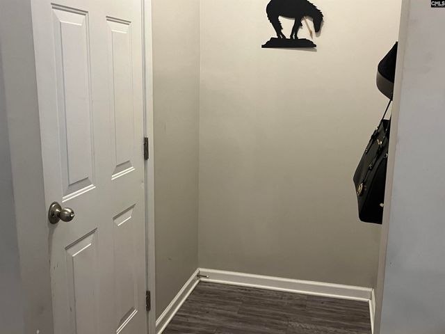 228 Bickley View Court, Chapin, SC 29036