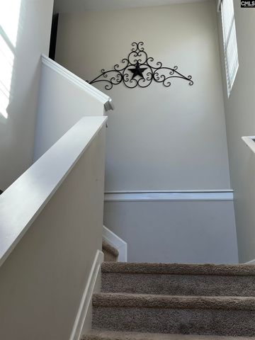 228 Bickley View Court, Chapin, SC 29036