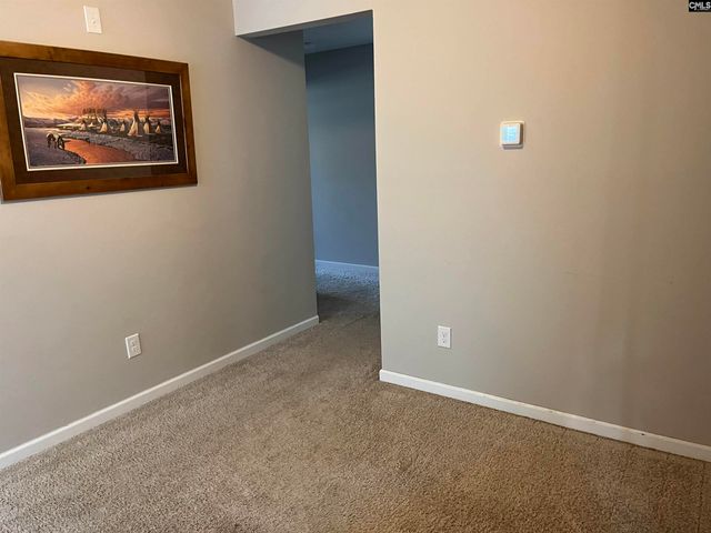 228 Bickley View Court, Chapin, SC 29036