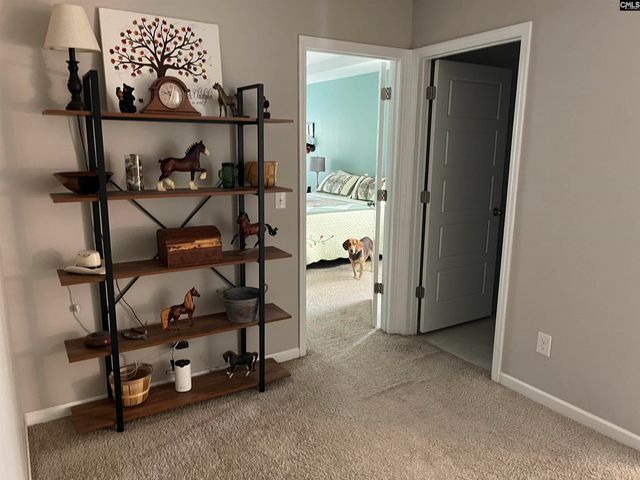 228 Bickley View Court, Chapin, SC 29036