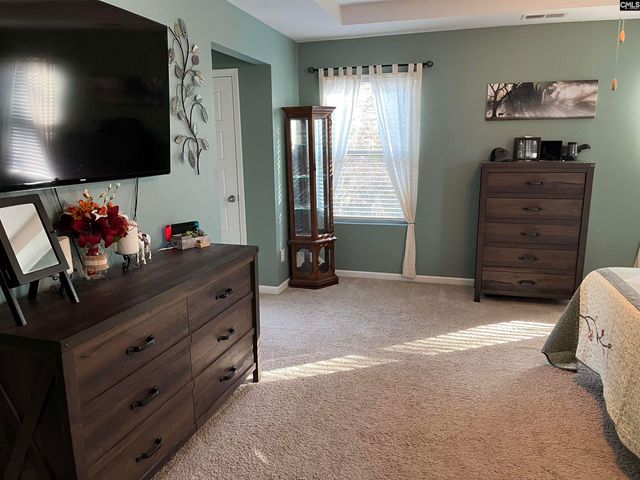 228 Bickley View Court, Chapin, SC 29036