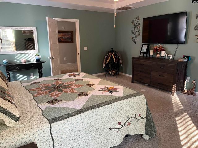 228 Bickley View Court, Chapin, SC 29036