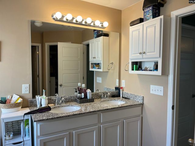 228 Bickley View Court, Chapin, SC 29036