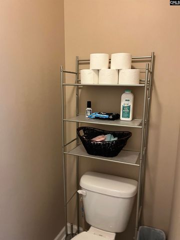 228 Bickley View Court, Chapin, SC 29036