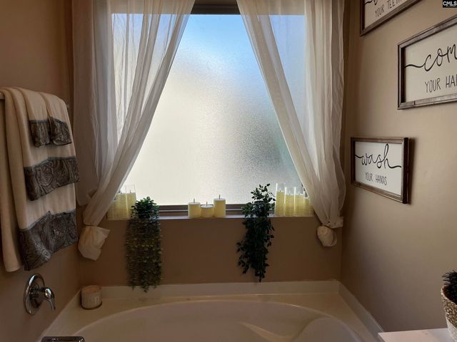 228 Bickley View Court, Chapin, SC 29036