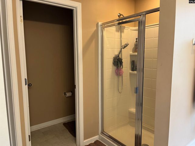 228 Bickley View Court, Chapin, SC 29036