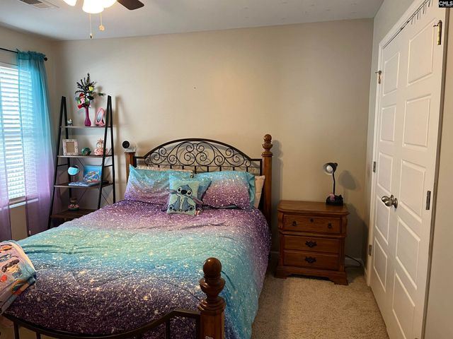 228 Bickley View Court, Chapin, SC 29036