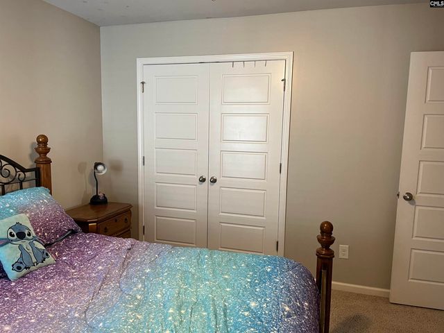 228 Bickley View Court, Chapin, SC 29036