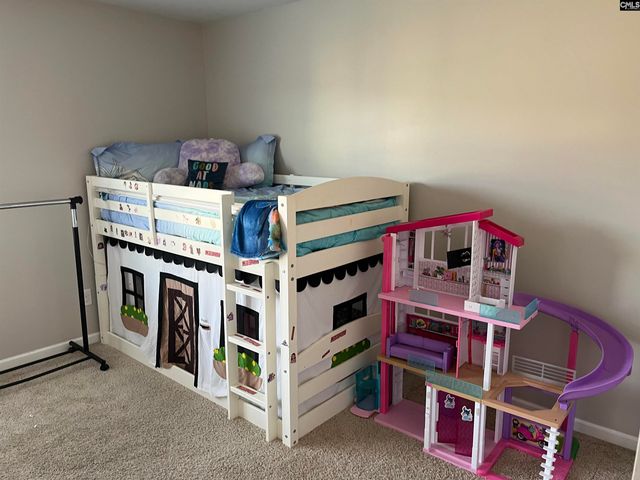 228 Bickley View Court, Chapin, SC 29036