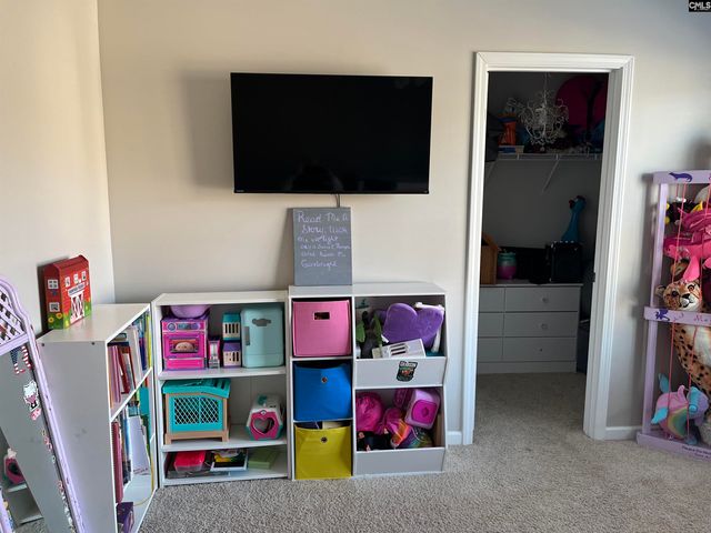 228 Bickley View Court, Chapin, SC 29036