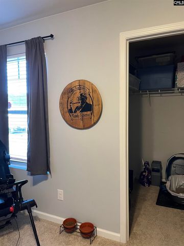 228 Bickley View Court, Chapin, SC 29036