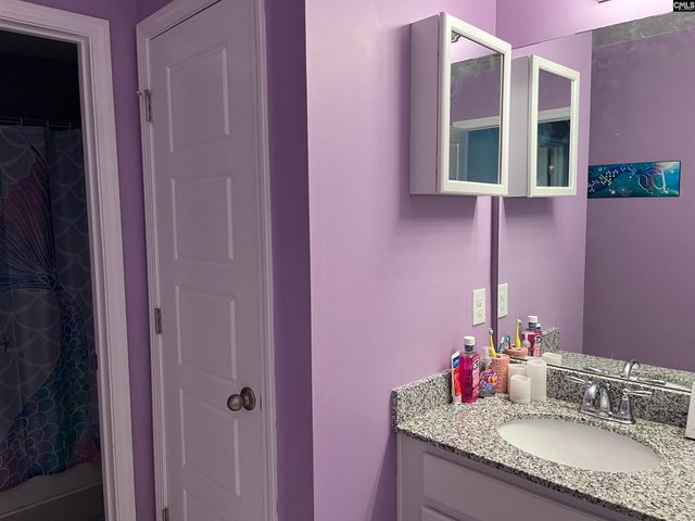 228 Bickley View Court, Chapin, SC 29036