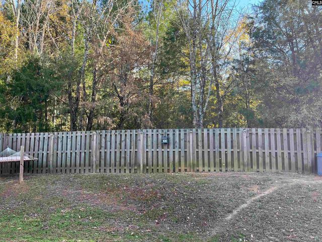 228 Bickley View Court, Chapin, SC 29036