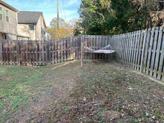 228 Bickley View Court, Chapin, SC 29036