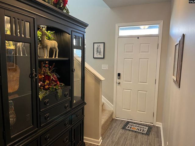 228 Bickley View Court, Chapin, SC 29036