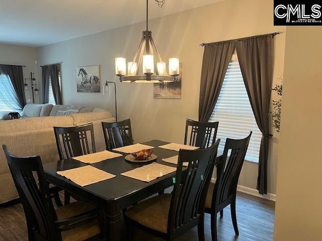 228 Bickley View Court, Chapin, SC 29036