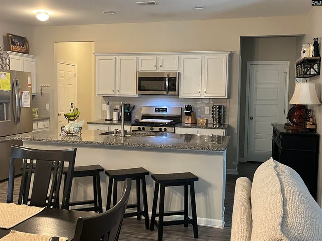 228 Bickley View Court, Chapin, SC 29036