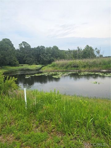 2931 N Wheaton Point, Hernando, FL 34442