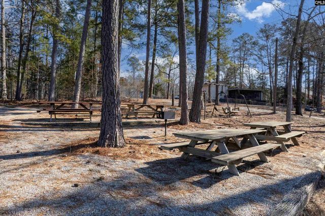 600 Newberry Drive, Chapin, SC 29036