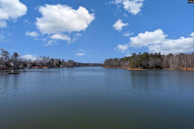 600 Newberry Drive, Chapin, SC 29036